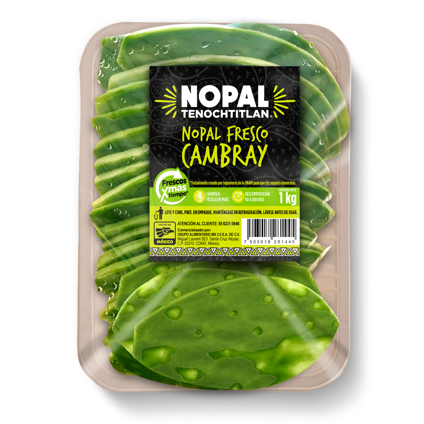 Charola de Nopal fresco 1kg g pack 4 piezas